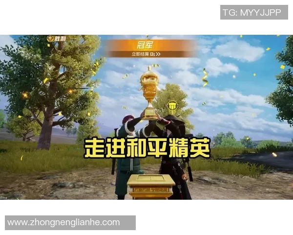 深度探讨王磊在和平精英中的成长与人生哲学之路 深度探讨王磊在和平精英中的成长与人生哲学之路